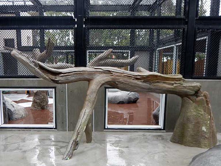 水泥做假樹(shù)根