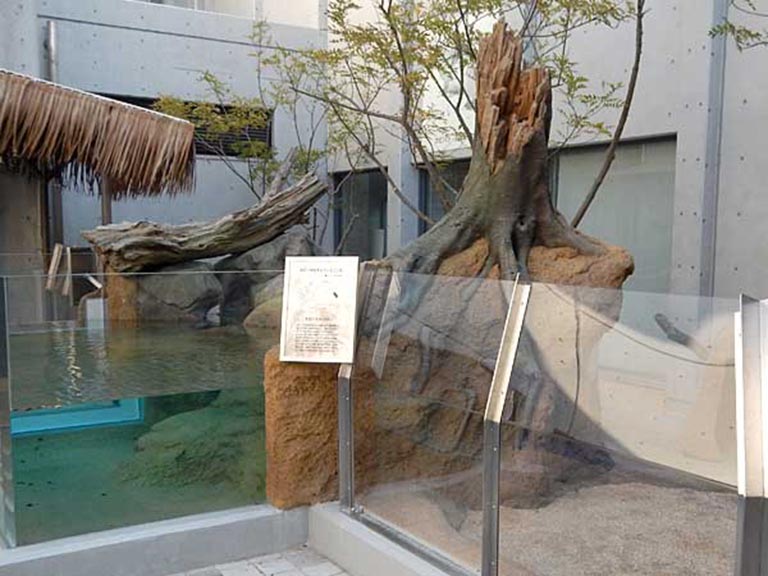 水泥做假樹(shù)根