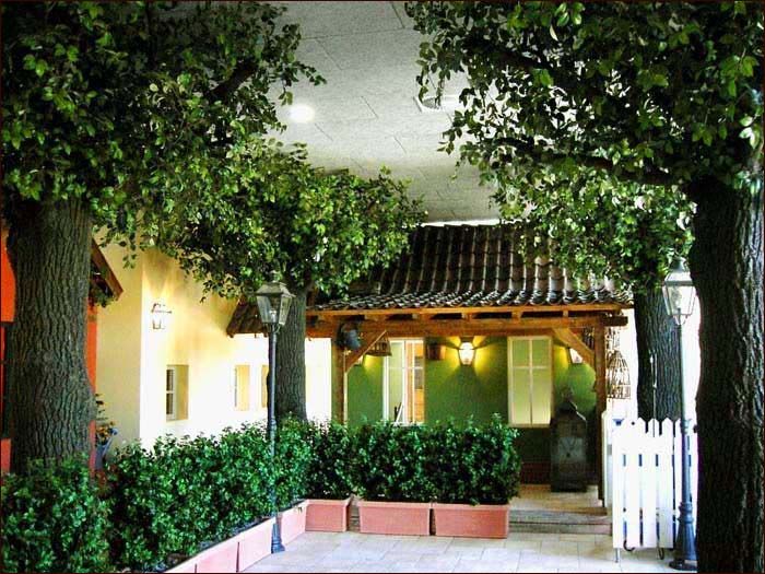 室內仿真樹圖片