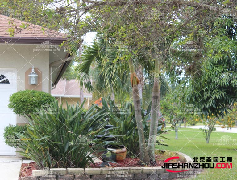 仿真樹.jpg 仿真樹