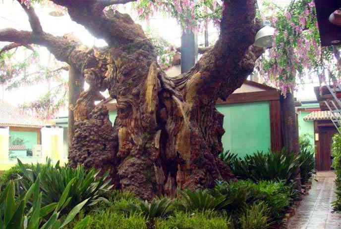 仿真樹.jpg 仿真樹