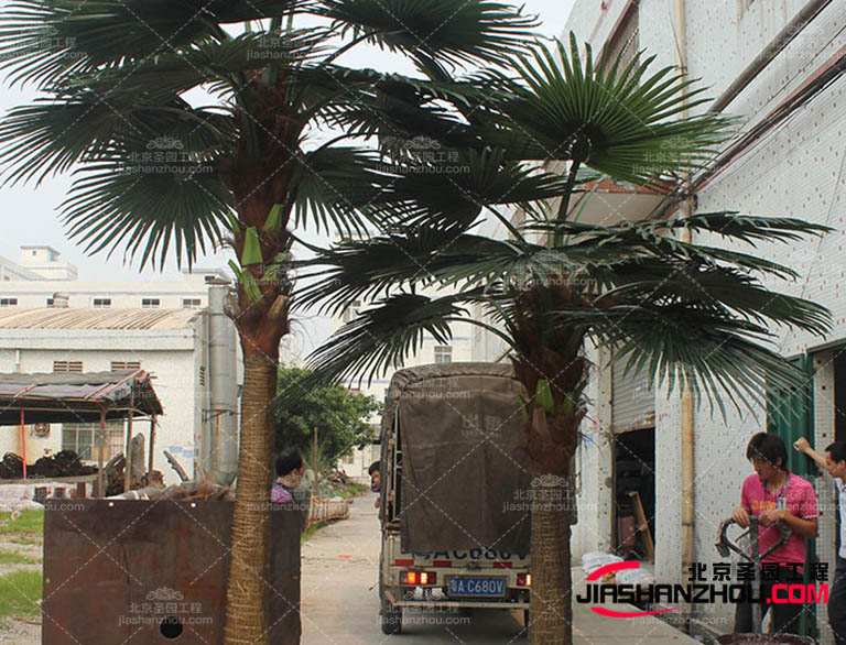 仿真樹.jpg 仿真樹