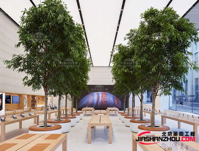 仿真樹.jpg 仿真樹