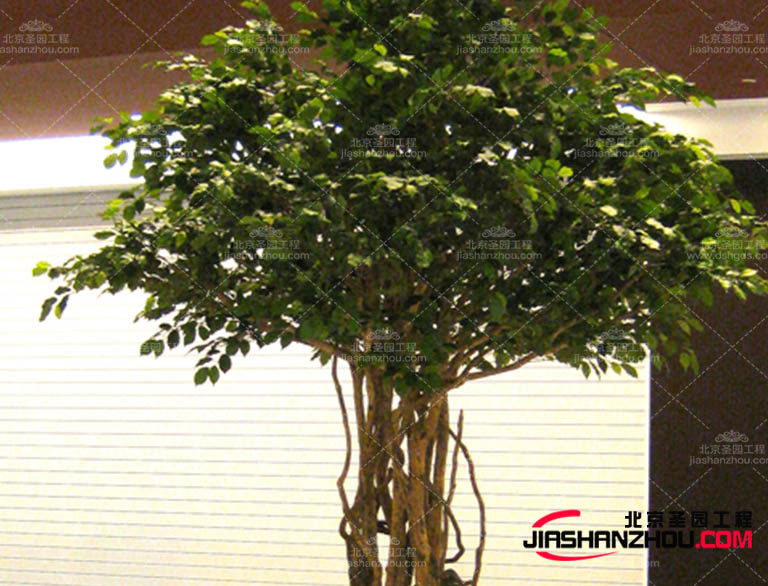 仿真樹.jpg 仿真樹