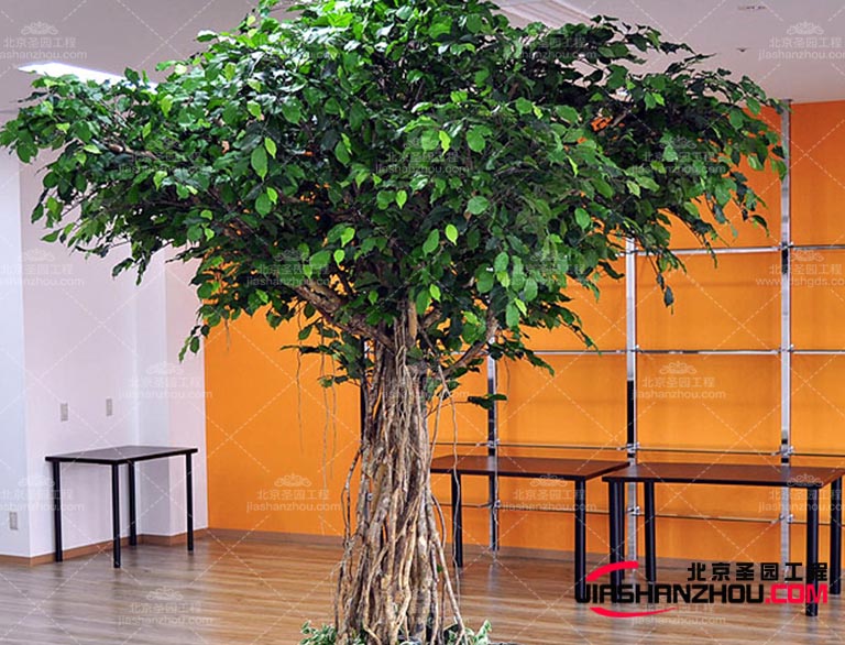 仿真樹.jpg 仿真樹